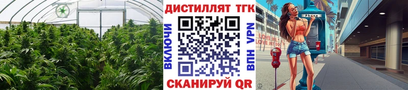 Дистиллят ТГК гашишное масло  Купить закладки  Кингисепп 