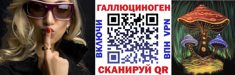 Псилоцибиновые грибы Magic Shrooms  Купить закладки  Кингисепп 